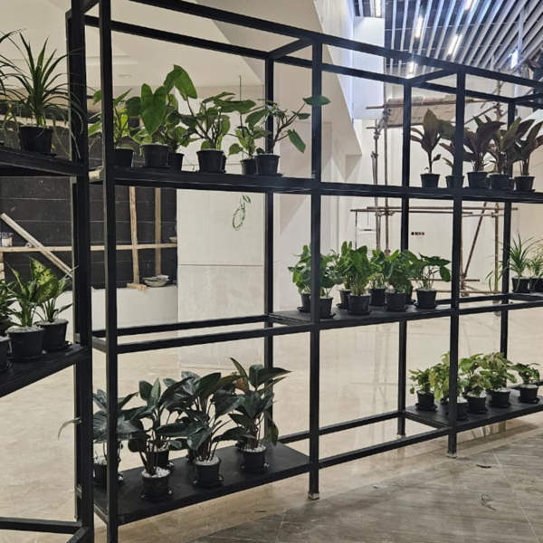 SCBL main image 00 600x600